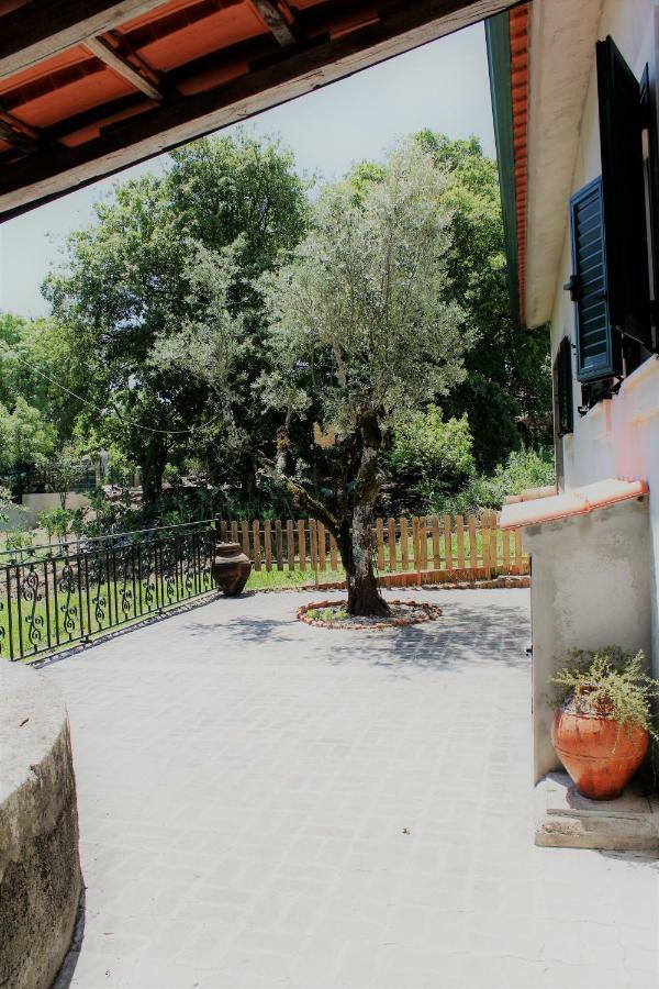 Villa Casa Da Maria Moca Fátima Exterior foto